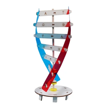 DNR Modelis Rinkiniai Dvigubos Spiralės DNR Struktūrą Modeliai Biologinių Mokslų Mokymo priemonių Ankstyvojo Lavinimo Žaislas, skirtas DNR Montavimas LX9A